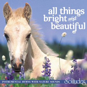 老头老太XXXXBBBB
